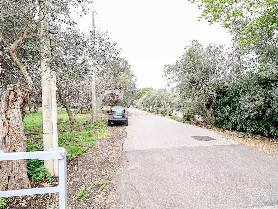 Immagine 41 di Attico in affitto  in via umberto pavone a Grottaferrata