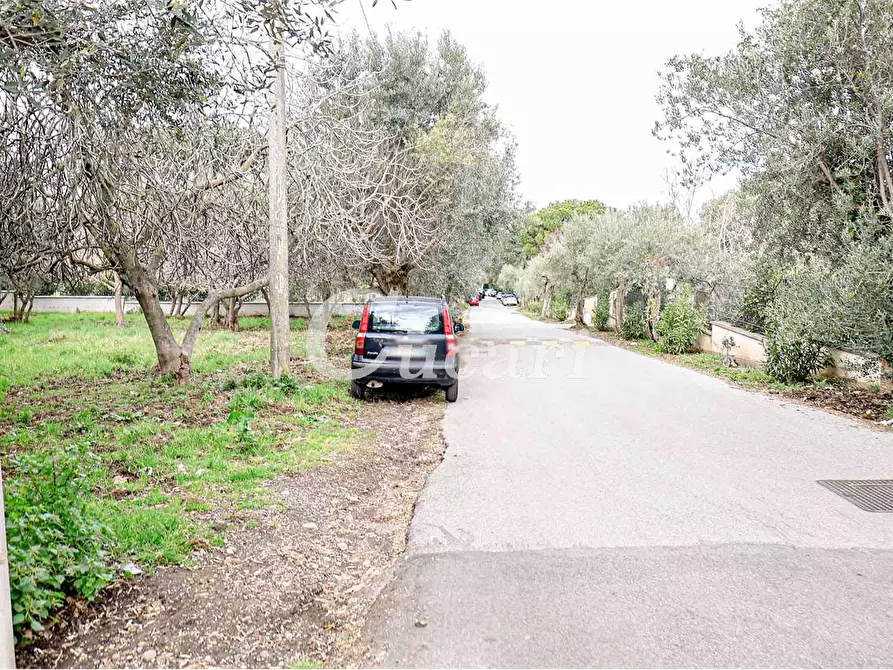 Immagine 43 di Attico in affitto  in via umberto pavone a Grottaferrata