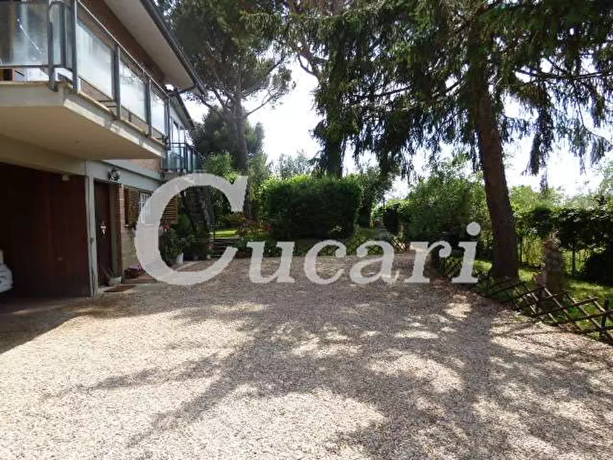 Immagine 45 di Attico in affitto  in via umberto pavone a Grottaferrata