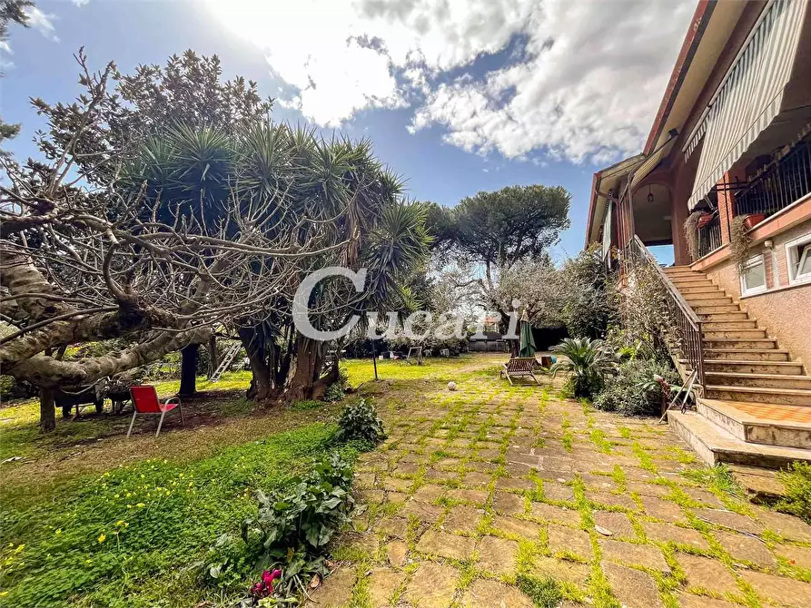 Immagine 23 di Appartamento in affitto  in Via appia vecchia 127 a Genzano Di Roma