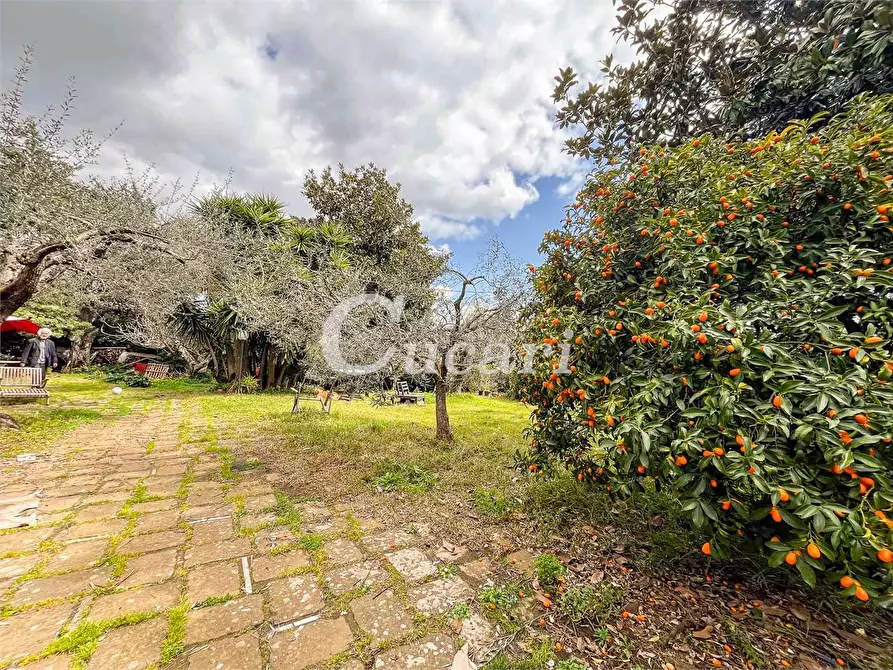 Immagine 25 di Appartamento in affitto  in Via appia vecchia 127 a Genzano Di Roma