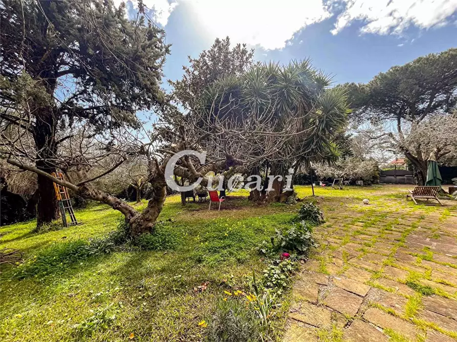 Immagine 26 di Appartamento in affitto  in Via appia vecchia 127 a Genzano Di Roma