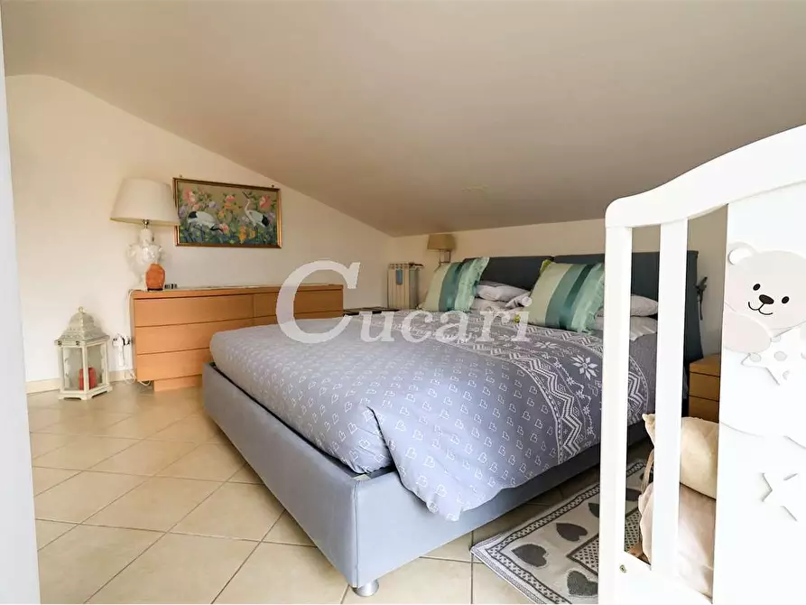 Immagine 19 di Attico in vendita  a Grottaferrata