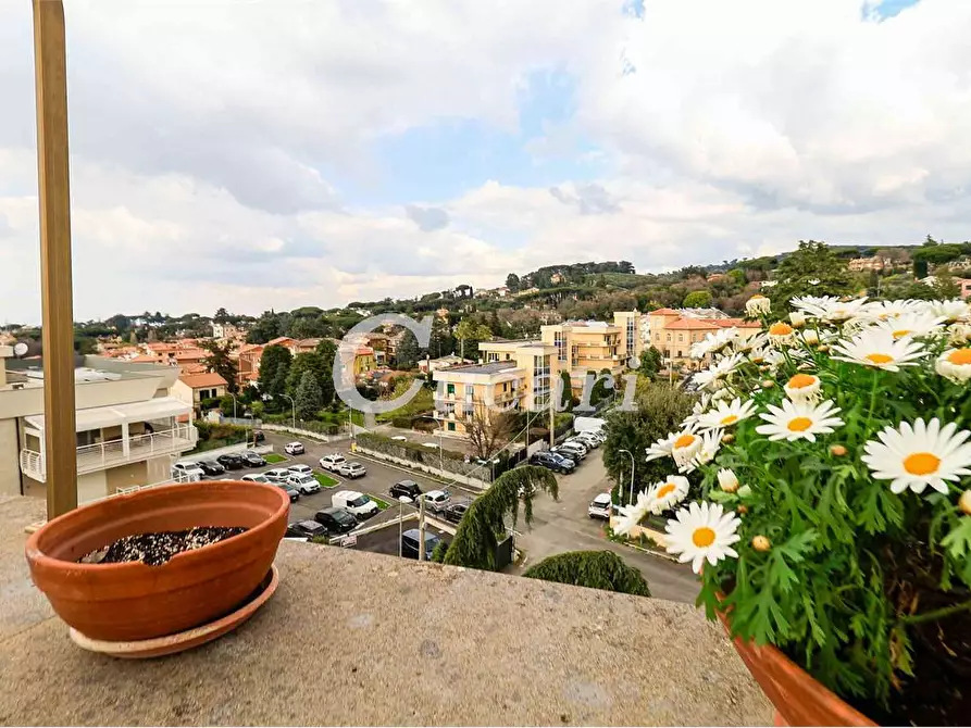 Immagine 23 di Attico in vendita  a Grottaferrata