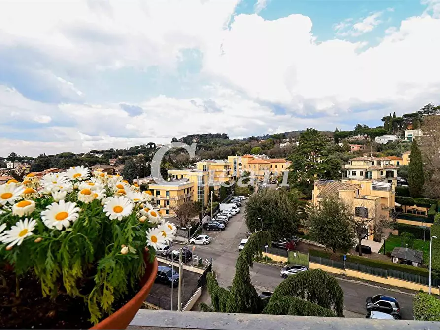 Immagine 25 di Attico in vendita  a Grottaferrata