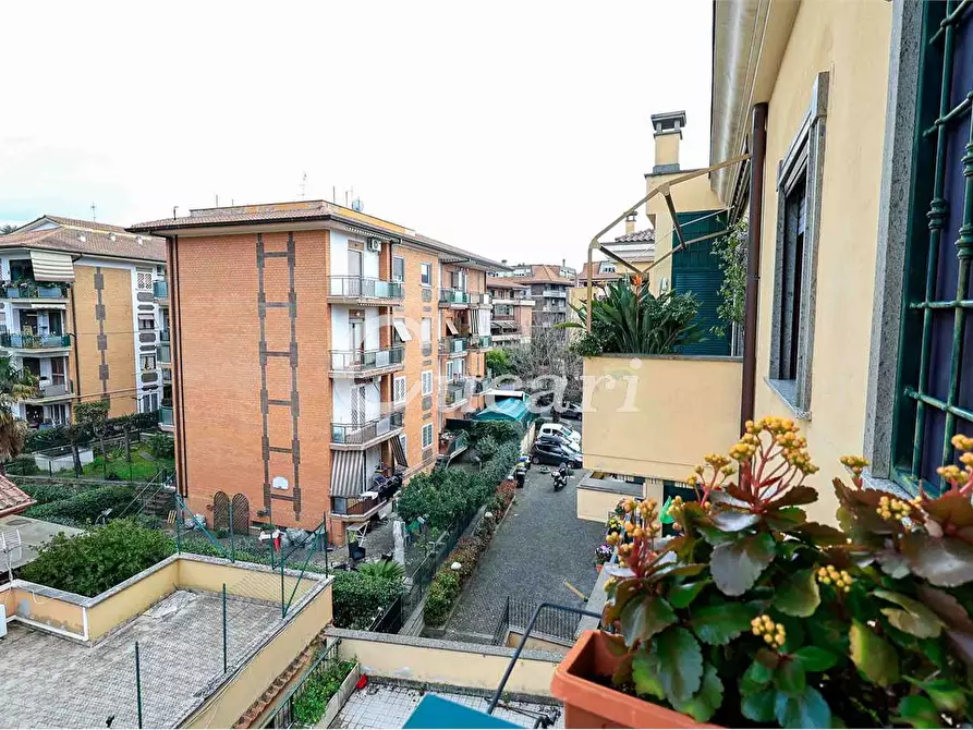 Immagine 32 di Attico in vendita  a Grottaferrata