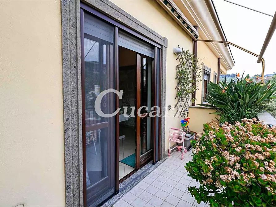 Immagine 9 di Attico in vendita  a Grottaferrata