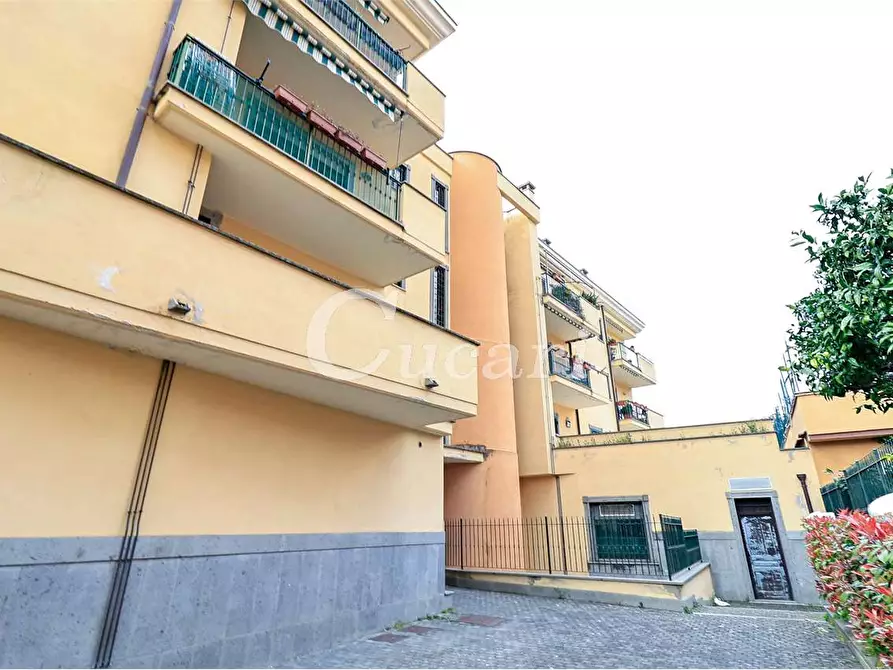 Immagine 52 di Attico in vendita  a Grottaferrata