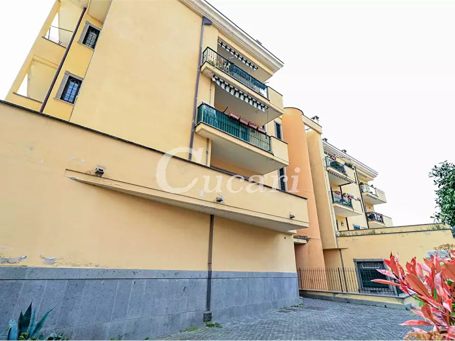 Immagine 53 di Attico in vendita  a Grottaferrata