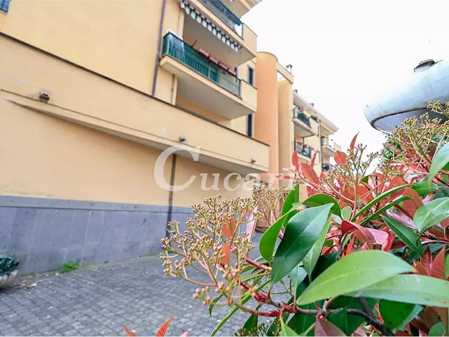 Immagine 54 di Attico in vendita  a Grottaferrata