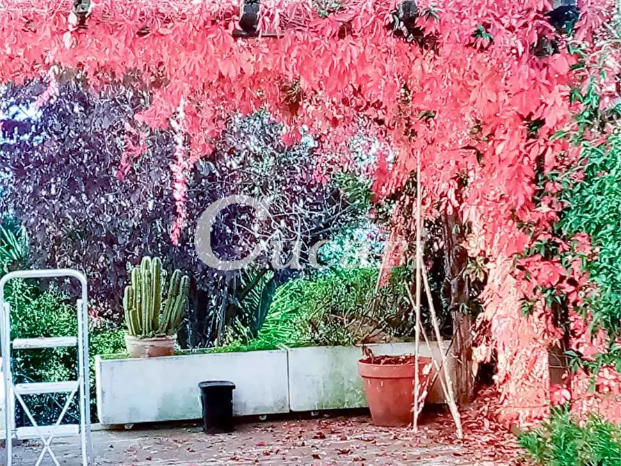 Immagine 2 di Appartamento in affitto  in Via panoramica  31 a Genzano Di Roma