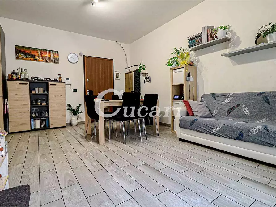 Immagine 31 di Bilocale in vendita  in via xxv luglio a Grottaferrata