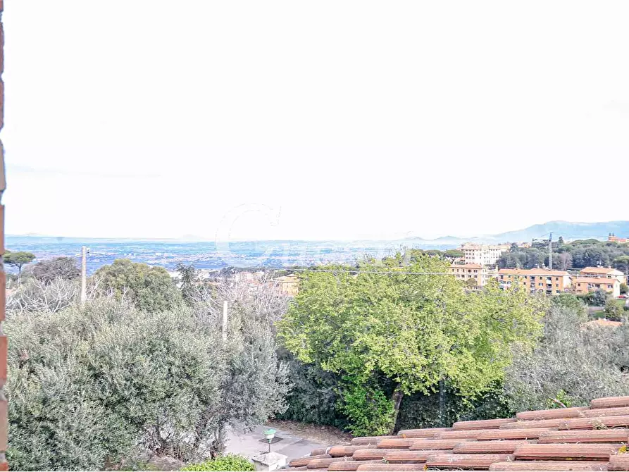 Immagine 24 di Attico in affitto  in via umberto pavone a Grottaferrata