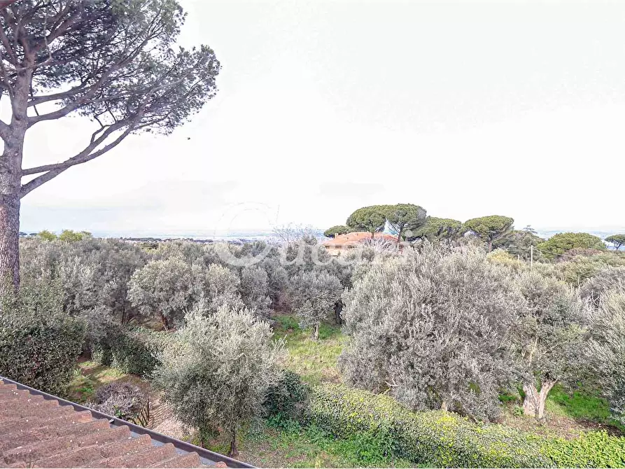 Immagine 25 di Attico in affitto  in via umberto pavone a Grottaferrata