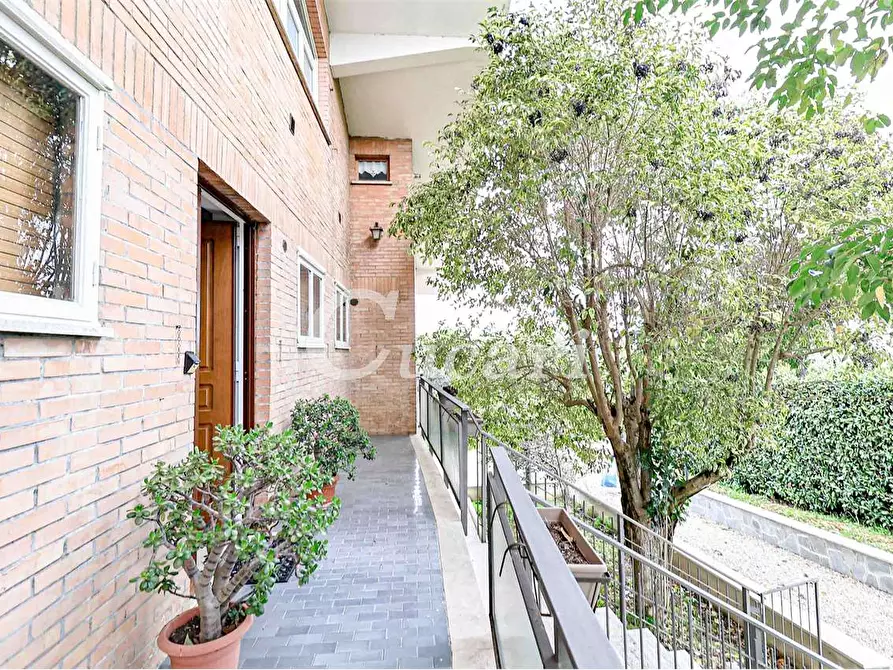 Immagine 37 di Attico in affitto  in via umberto pavone a Grottaferrata