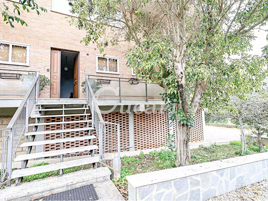 Immagine 39 di Attico in affitto  in via umberto pavone a Grottaferrata