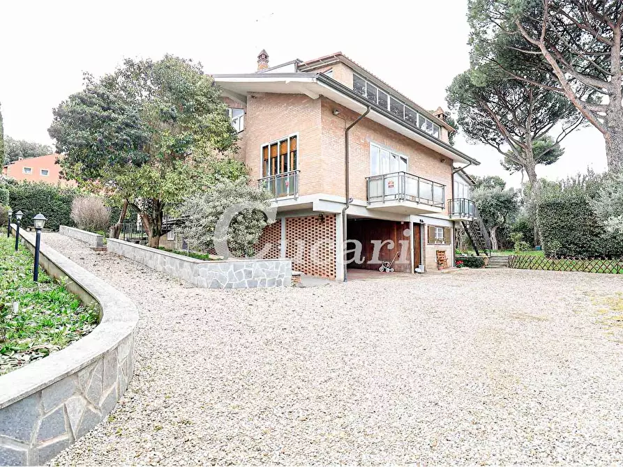 Immagine 40 di Attico in affitto  in via umberto pavone a Grottaferrata