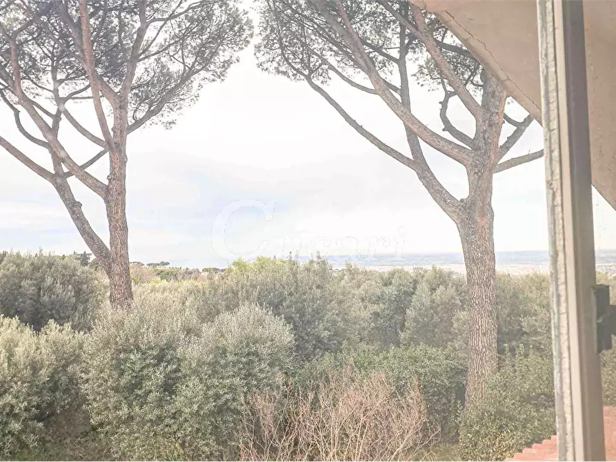 Immagine 48 di Attico in affitto  in via umberto pavone a Grottaferrata