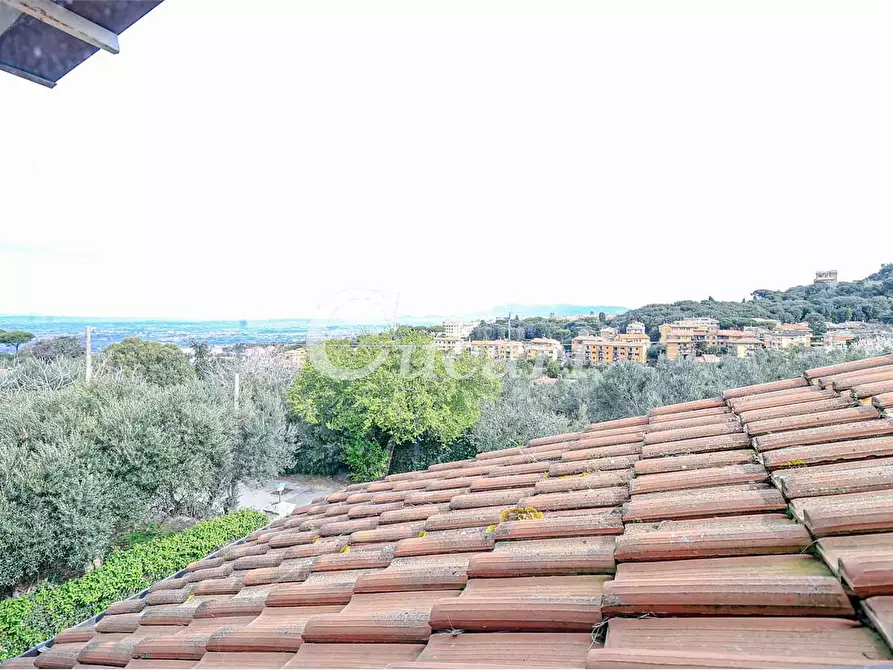 Immagine 50 di Attico in affitto  in via umberto pavone a Grottaferrata