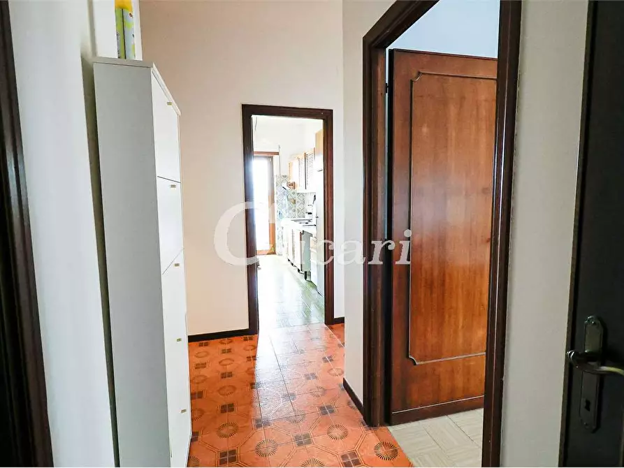 Immagine 21 di Trilocale in affitto  in via maffeo.pantaleoni a Frascati