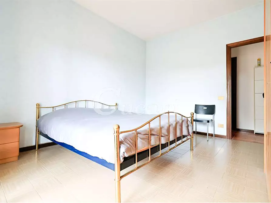 Immagine 7 di Trilocale in affitto  in via maffeo.pantaleoni a Frascati