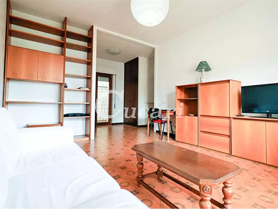 Immagine 22 di Trilocale in affitto  in via maffeo.pantaleoni a Frascati