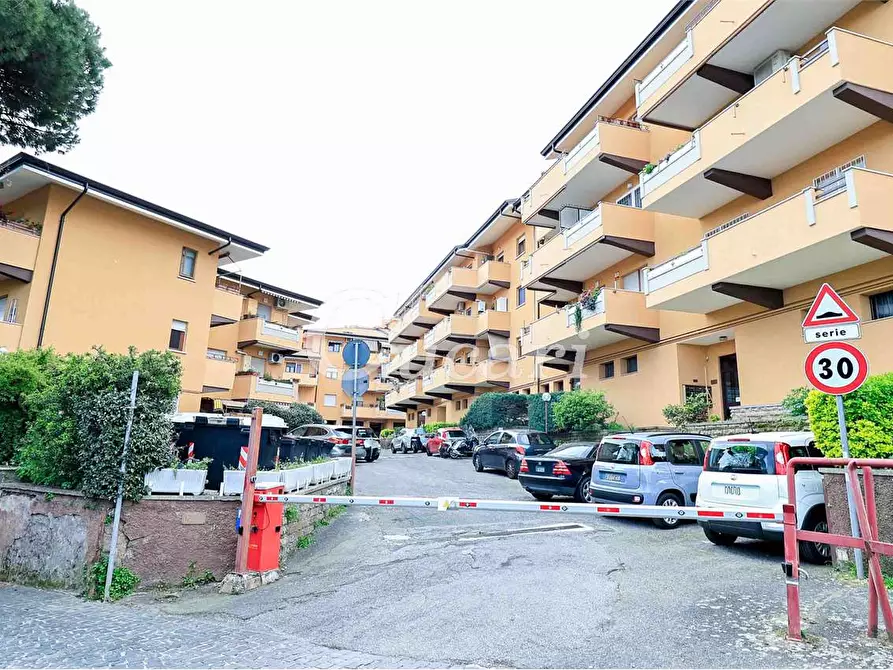 Immagine 34 di Trilocale in affitto  in via maffeo.pantaleoni a Frascati