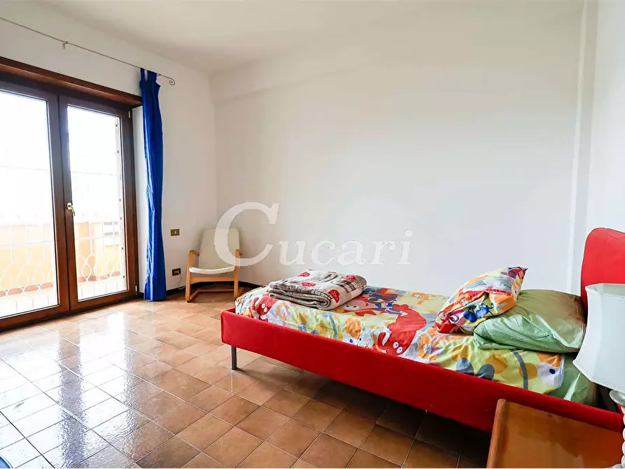 Immagine 14 di Trilocale in affitto  in via maffeo.pantaleoni a Frascati