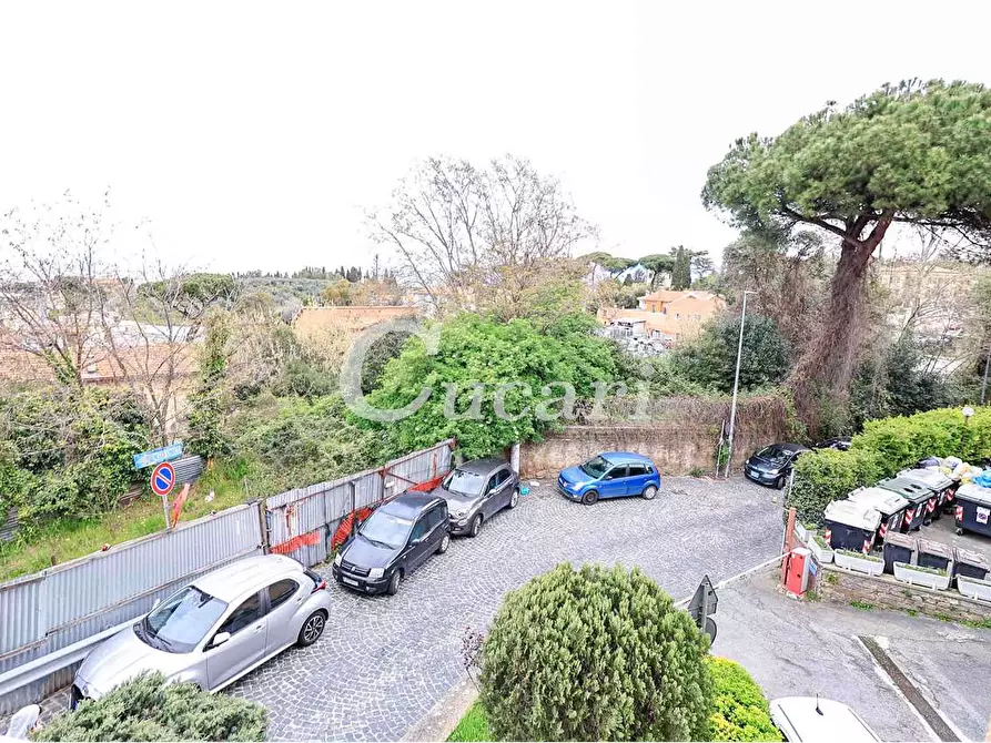 Immagine 32 di Trilocale in affitto  in via maffeo.pantaleoni a Frascati