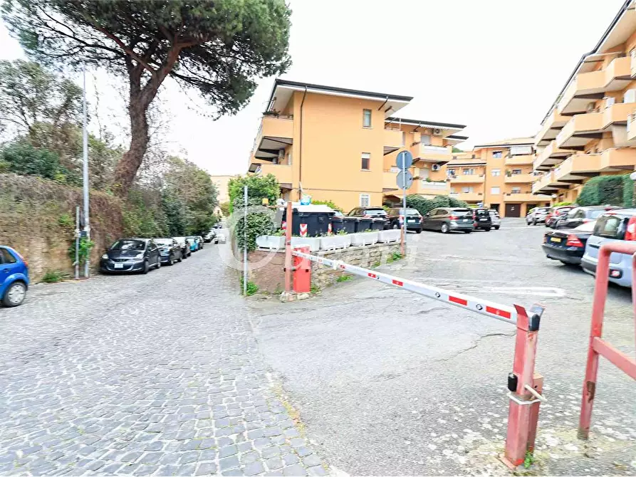 Immagine 33 di Trilocale in affitto  in via maffeo.pantaleoni a Frascati