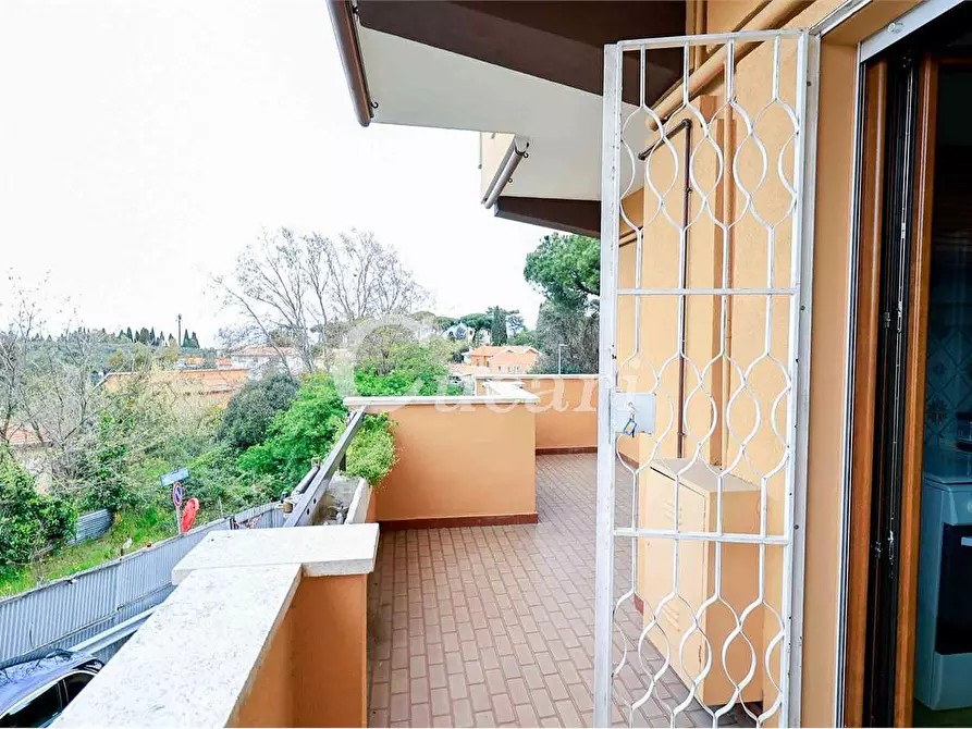 Immagine 24 di Trilocale in affitto  in via maffeo.pantaleoni a Frascati