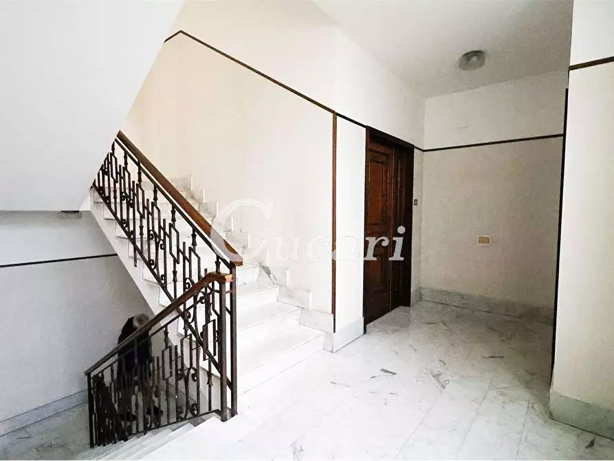 Immagine 29 di Trilocale in affitto  in via maffeo.pantaleoni a Frascati