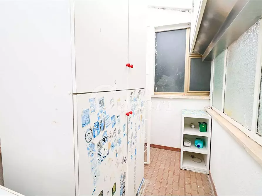 Immagine 31 di Trilocale in affitto  in via maffeo.pantaleoni a Frascati