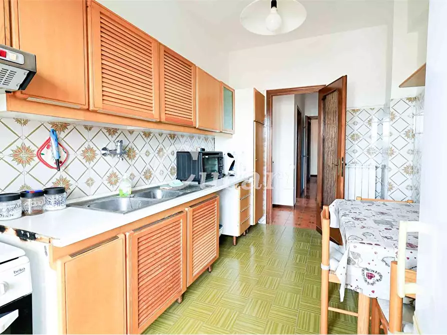 Immagine 10 di Trilocale in affitto  in via maffeo.pantaleoni a Frascati