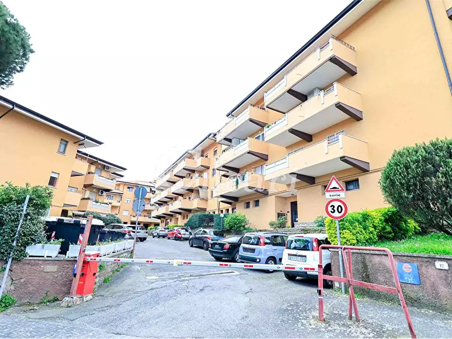 Immagine 2 di Trilocale in affitto  in via maffeo.pantaleoni a Frascati