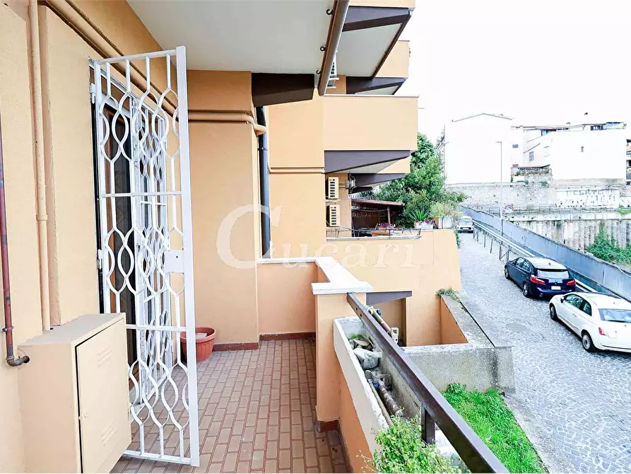 Immagine 26 di Trilocale in affitto  in via maffeo.pantaleoni a Frascati