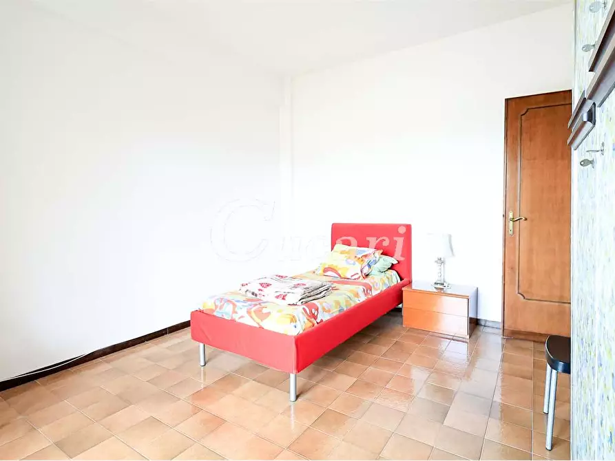 Immagine 13 di Trilocale in affitto  in via maffeo.pantaleoni a Frascati