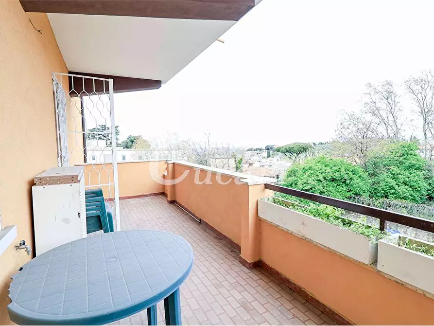 Immagine 25 di Trilocale in affitto  in via maffeo.pantaleoni a Frascati