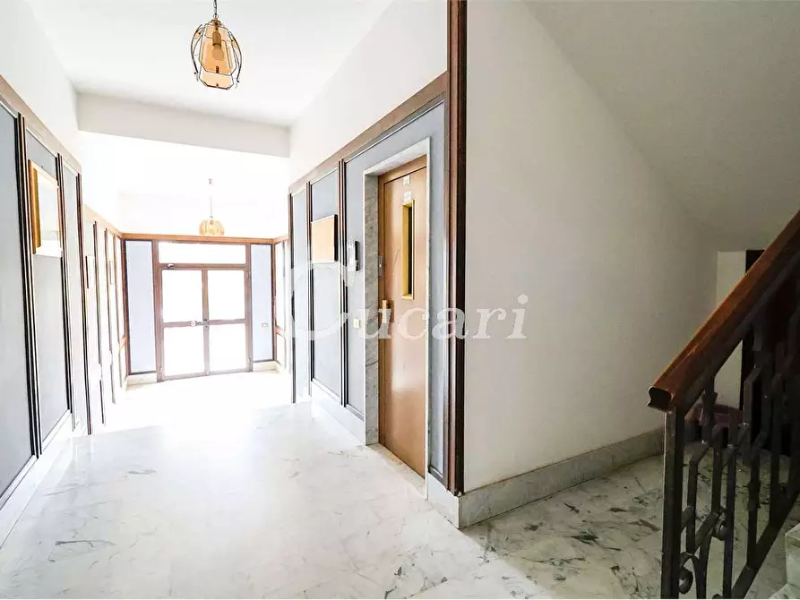 Immagine 30 di Trilocale in affitto  in via maffeo.pantaleoni a Frascati