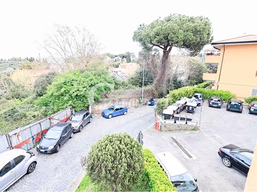 Immagine 36 di Trilocale in affitto  in via maffeo.pantaleoni a Frascati