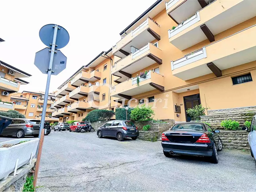 Immagine 35 di Trilocale in affitto  in via maffeo.pantaleoni a Frascati