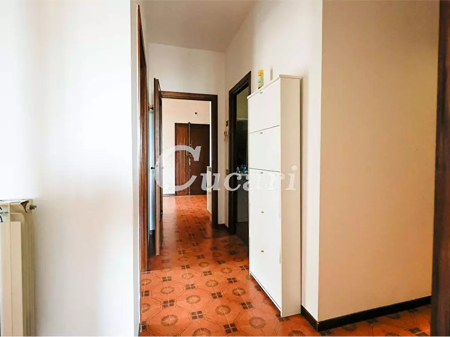 Immagine 18 di Trilocale in affitto  in via maffeo.pantaleoni a Frascati