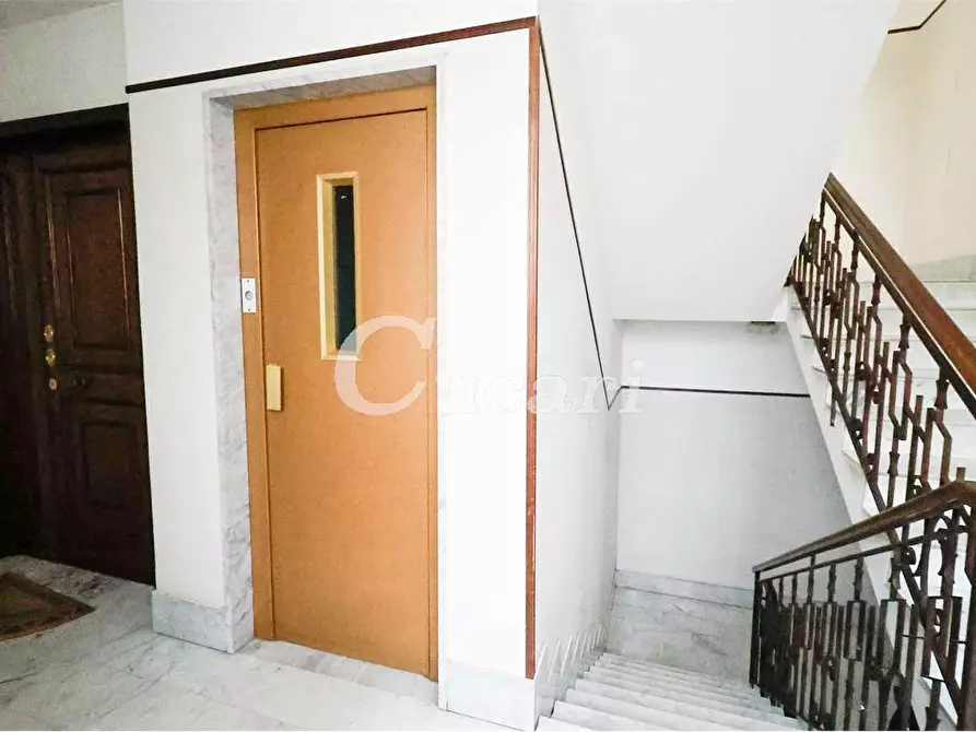 Immagine 28 di Trilocale in affitto  in via maffeo.pantaleoni a Frascati