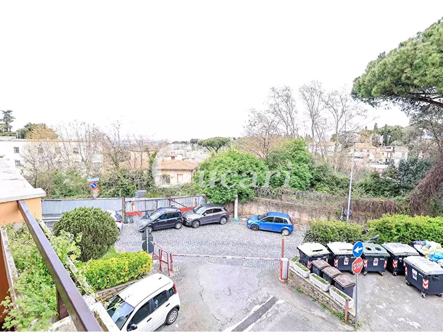 Immagine 37 di Trilocale in affitto  in via maffeo.pantaleoni a Frascati