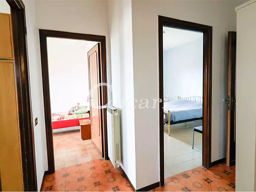 Immagine 17 di Trilocale in affitto  in via maffeo.pantaleoni a Frascati