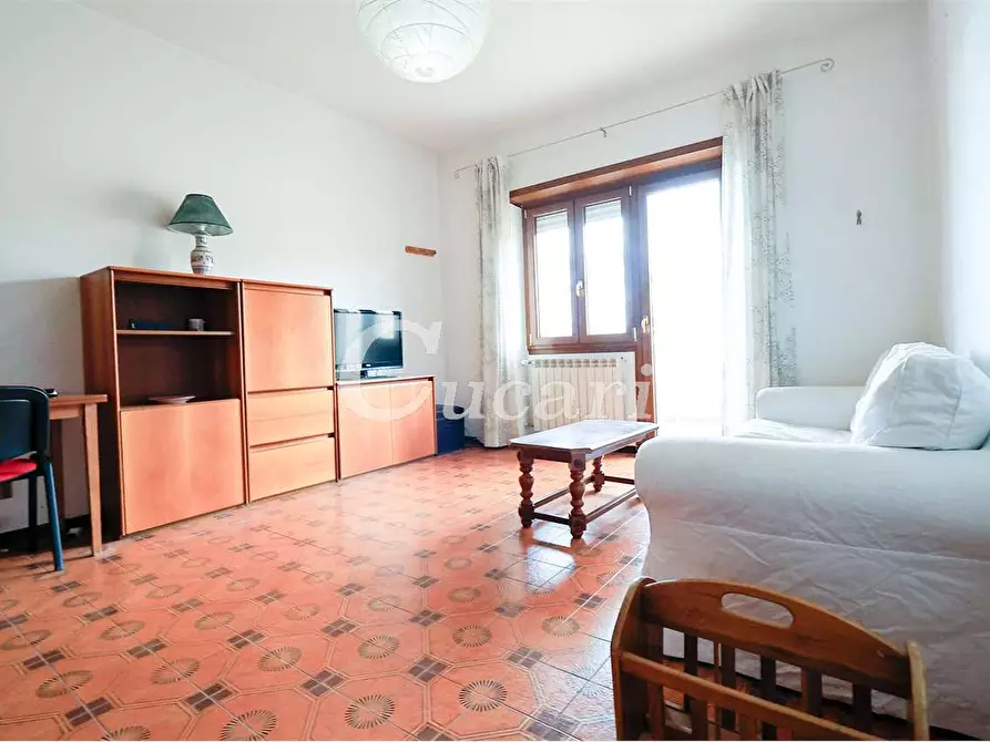 Immagine 4 di Trilocale in affitto  in via maffeo.pantaleoni a Frascati