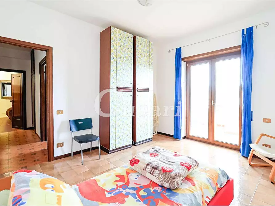 Immagine 12 di Trilocale in affitto  in via maffeo.pantaleoni a Frascati