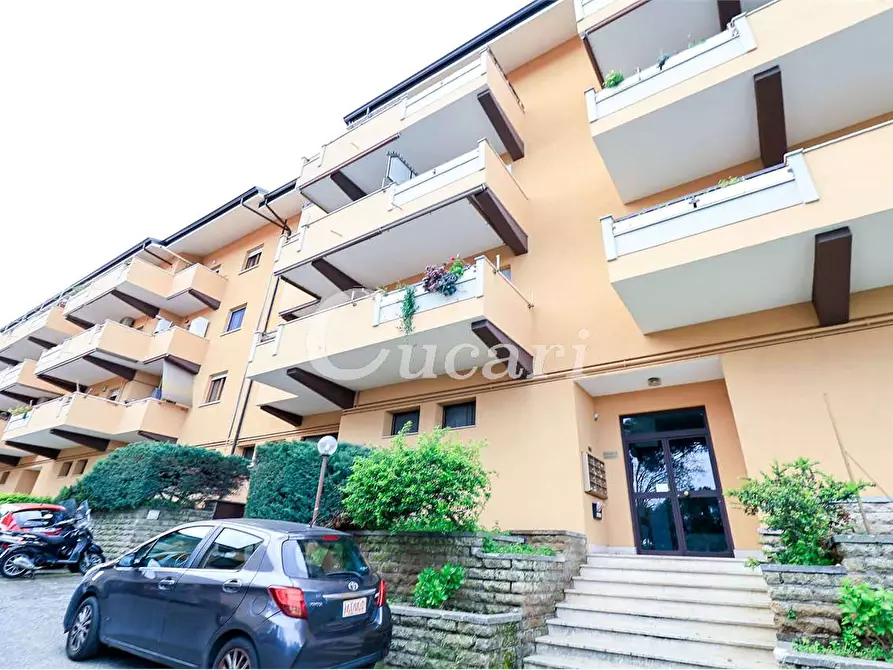 Immagine 38 di Trilocale in affitto  in via maffeo.pantaleoni a Frascati