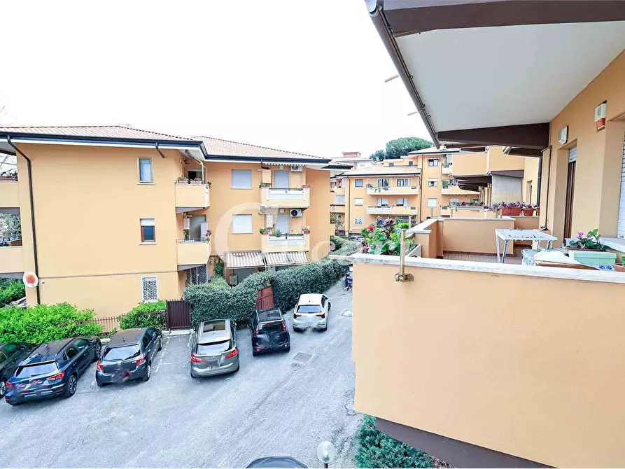 Immagine 39 di Trilocale in affitto  in via maffeo.pantaleoni a Frascati