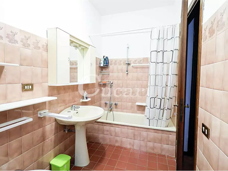 Immagine 19 di Trilocale in affitto  in via maffeo.pantaleoni a Frascati